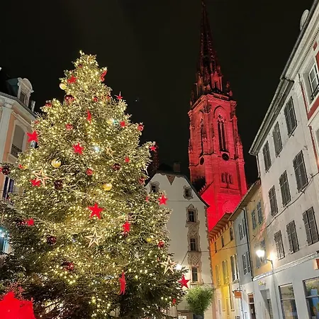Gite Des Victoires Mulhouse Exterior photo